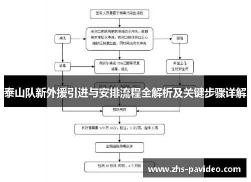泰山队新外援引进与安排流程全解析及关键步骤详解