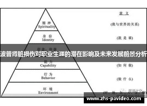 波普肾脏损伤对职业生涯的潜在影响及未来发展前景分析