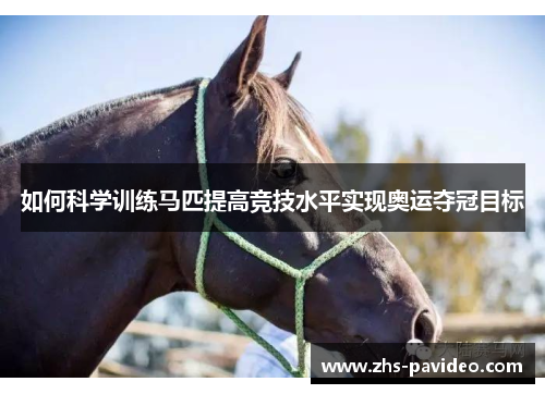 如何科学训练马匹提高竞技水平实现奥运夺冠目标