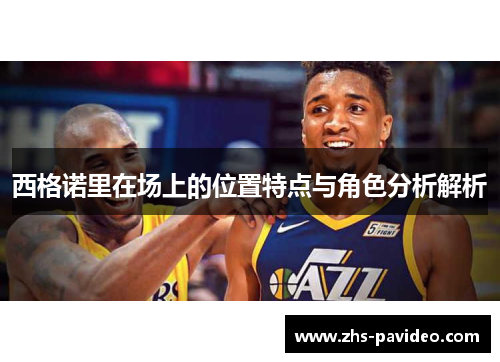 西格诺里在场上的位置特点与角色分析解析